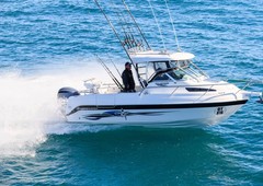 NEW HAINES HUNTER 675 OFFSHORE HARD TOP