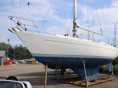 Oyster Heritage 37