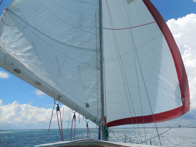1975 pearson 10 meter sailboat for sale in Florida