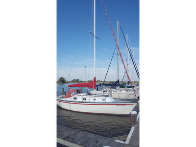 1981 Hunter Cherubini 30 Sloop sailboat for sale in Maryland
