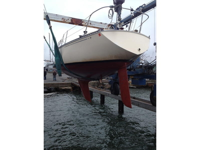 1981 C&C 33mk1 sailboat for sale in Florida