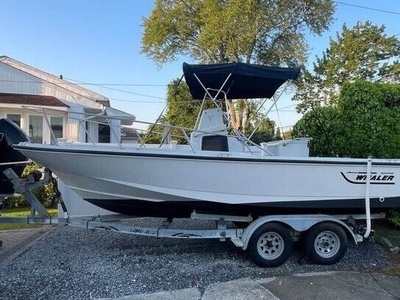BOSTON WHALER 21 FT OUTRAGE And TRAILER