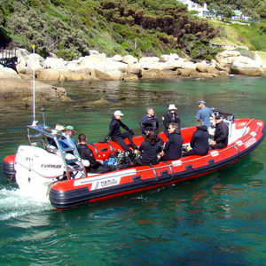 Rescue boat - WAVERIDER 880 - GEMINI - outboard / rigid hull inflatable boat