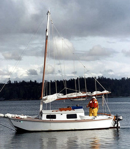 Cruising sailboat - Lichen 20 - Devlin - 1-cabin / with bowsprit / gaff rig