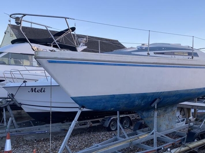 For Sale: 1981 Seamaster 815
