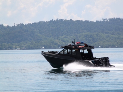 NEW Saltwater Commercial Boats 11.5 Interceptor Patrol