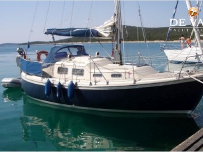 MIDGET 31 sailing yacht for sale