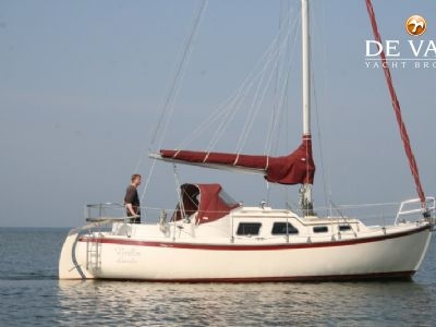 MIDGET 31 sailing yacht for sale