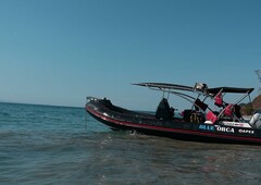 NEW APEX A-28 DELUXE TENDER (RIGID HULL INFLATABLE BOATS)