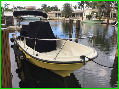 Boston Whaler 22 Outrage 110 HP Engine