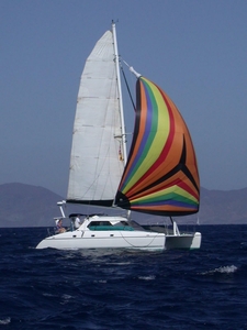 2000 Charter Cat Wildcat 350 Out of Africa | 35ft