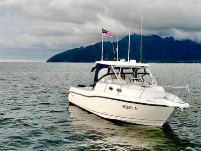 2004 Boston Whaler 305 Conquest Seaworthy | 36ft