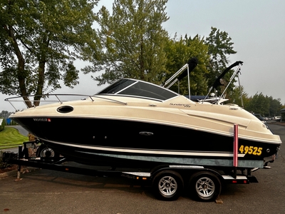 2009 Sea Ray 230 Bow Rider Select Special Edition RAPTOR | 24ft