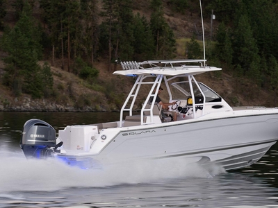 2023 Solara S-250 CW Immediate Delivery | 29ft