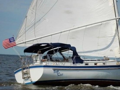 Nonsuch 354