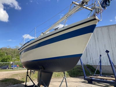 LM 81 in Flensburg (sailboat) for sale