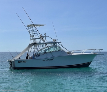 Luhrs 36 Open Tower