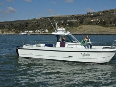 Catamaran walkaround - 3 Fishes - Cheetah Marine - outboard / twin-engine / center console