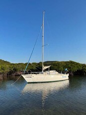 Trailer Sailer Austral A24 offshore yacht $15,500