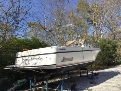 1999 Shamrock 246 WA powerboat for sale in Massachusetts