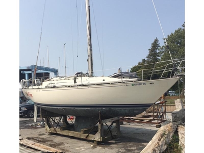 1979 C&C 36-1 sailboat for sale in New York