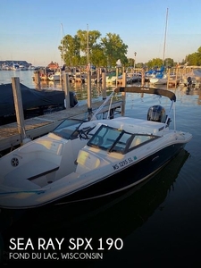 2019 Sea Ray SPX 190 in Fond du Lac, WI