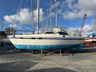 1986 Southerly 115 Sea Seven | 11ft