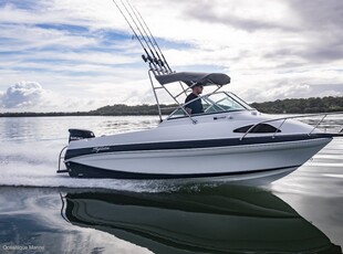 NEW Haines Signature 545F Great all-rounder!