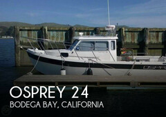 Osprey 24