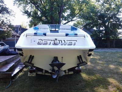 1989 Sea Ray Pachanga powerboat for sale in Illinois