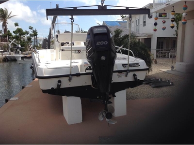 2011 Boston Whaler 200 Dauntless powerboat for sale in Florida