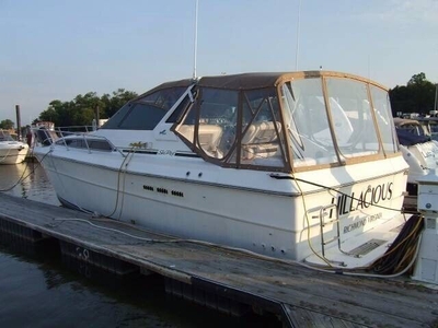 1988 Sea Ray 390 Express Buyer Purchased And Didnt Pay Have Warrant In Debt