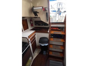 1976 C&C Landfall sailboat for sale in Florida