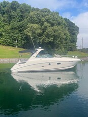 2011 Sea Ray 310 Sundancer | 31ft