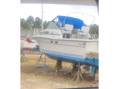 1989 Wellcraft 2800 Coastal powerboat for sale in Virginia
