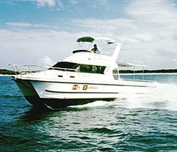 Catamaran express cruiser - 3500 - Noosa Cat Australia - outboard / twin-engine / flybridge
