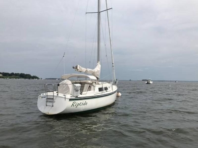 1984 Newport 30 model III sailboat for sale in Connecticut