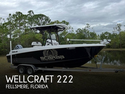 Wellcraft 222 Fisherman (powerboat) for sale