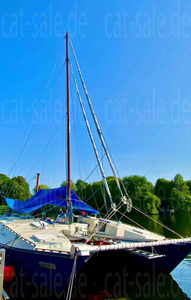 Wharram Narai Mk.IV Modified (sailboat) for sale