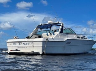 Sea Ray 460 Express Cruiser Boat, 2 Staterooms, Twin CAT Diesel Engines