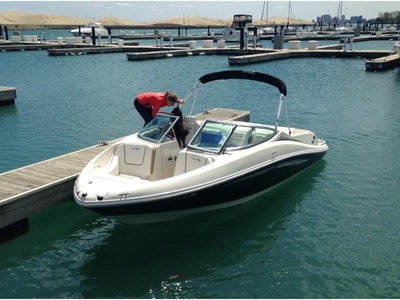 2007 Sea Ray 210 Select powerboat for sale in Illinois