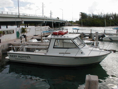 Inboard express cruiser - ISLAND HOPPER 30 - Island Hopper International Boat Works, Inc. - dive / sport-fishing