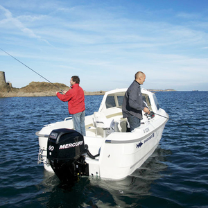 Outboard day fishing boat - Cuddy 19 - SMARTLINER - wheelhouse / dive / fiberglass