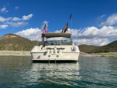1996 Sea Ray 400 Express Crusier