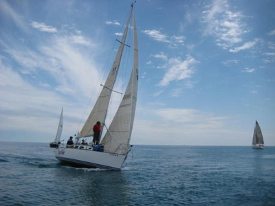 1988 Ericson Yachts Olson 911SE sailboat for sale in Michigan