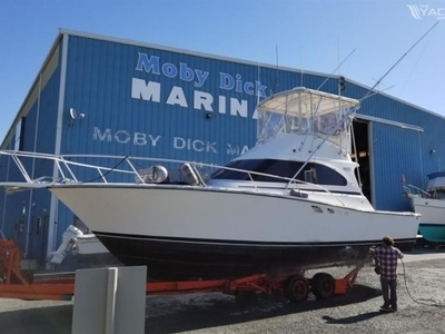Luhrs 350 Tournament (1990) for sale