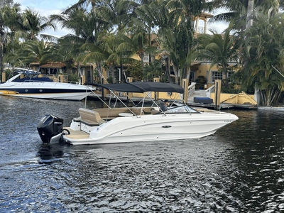 Sea Ray 250 Sdx Ob Boat For Sale - Waa2