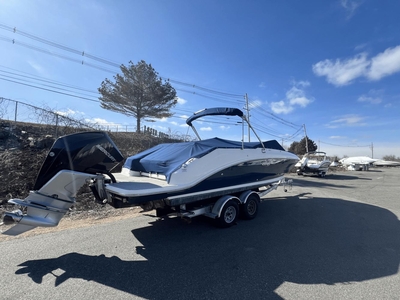 2019 Sea Ray 250 SDX Outboard | 25ft