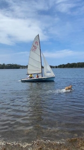 Tasar sailing dinghy with registered road trailer and beach dolly