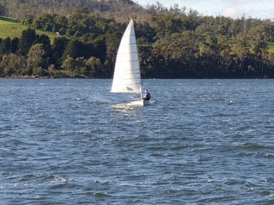 Now $2.5k Laser Dinghy - 3 rigs, ready to sail now in Tasmania!